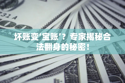 北京坏账变‘宝账’？专家揭秘合法翻身的秘密！