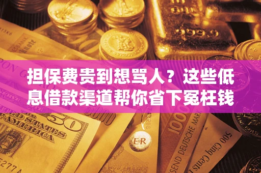 北京担保费贵到想骂人？这些低息借款渠道帮你省下冤枉钱