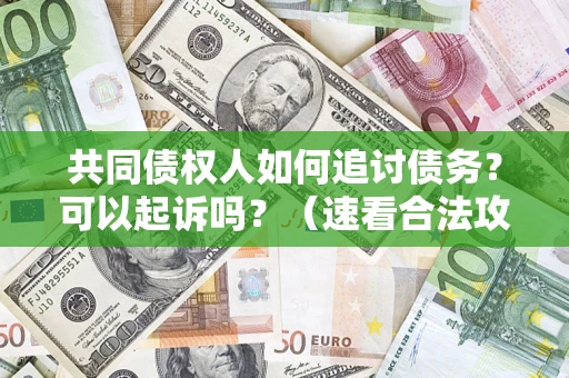 北京共同债权人如何追讨债务？可以起诉吗？（速看合法攻略）